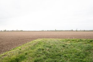 Davide Curatola Soprana