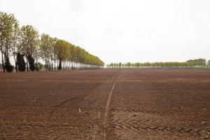 Isabella Sassi Farìas