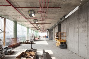 Isabella Sassi Farìas