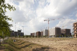 Isabella Sassi Farìas