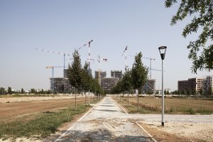 Isabella Sassi Farìas